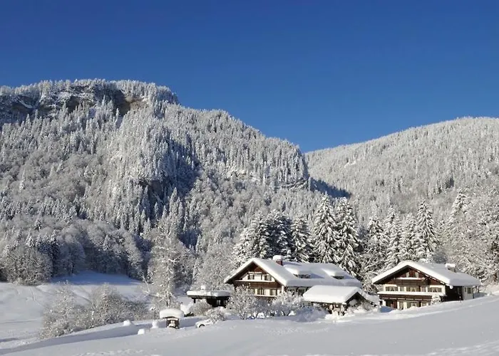 Gschwenderhaus 公寓 *