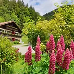 Gschwenderhaus * Oberstdorf