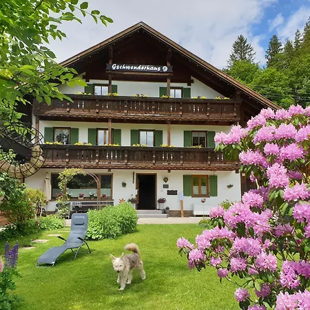Apartmán Gschwenderhaus *